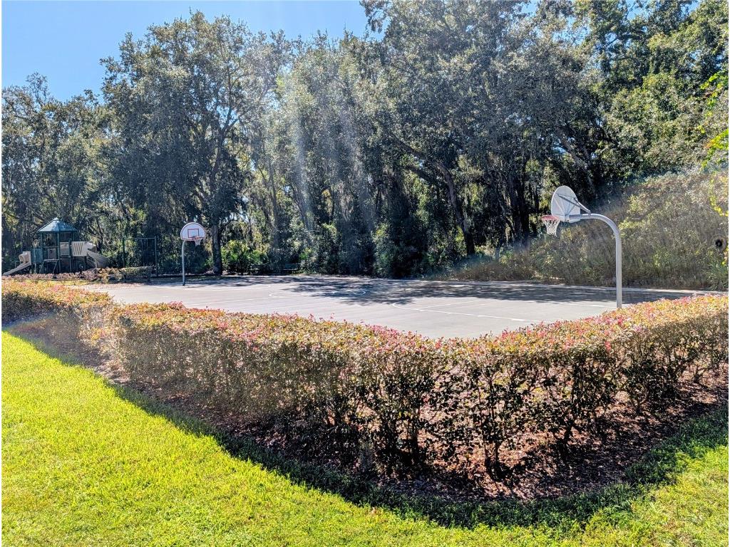 20119 Eagles Landing Way Tampa FL 33647 TB8437574 image29