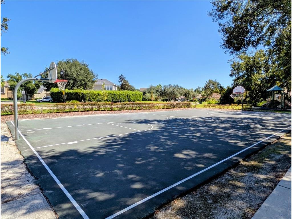 20119 Eagles Landing Way Tampa FL 33647 TB8437574 image30