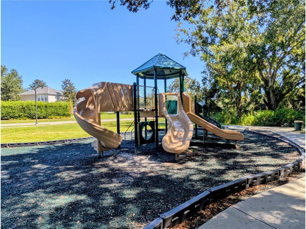 20119 Eagles Landing Way Tampa FL 33647 TB8437574 image32