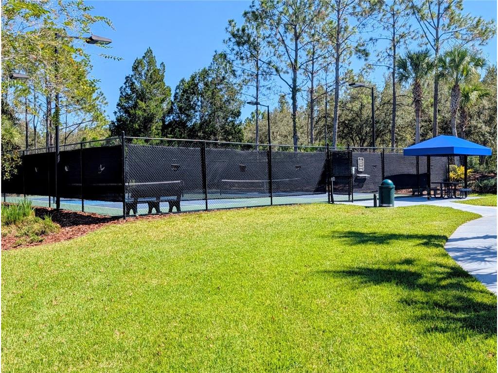 20119 Eagles Landing Way Tampa FL 33647 TB8437574 image38