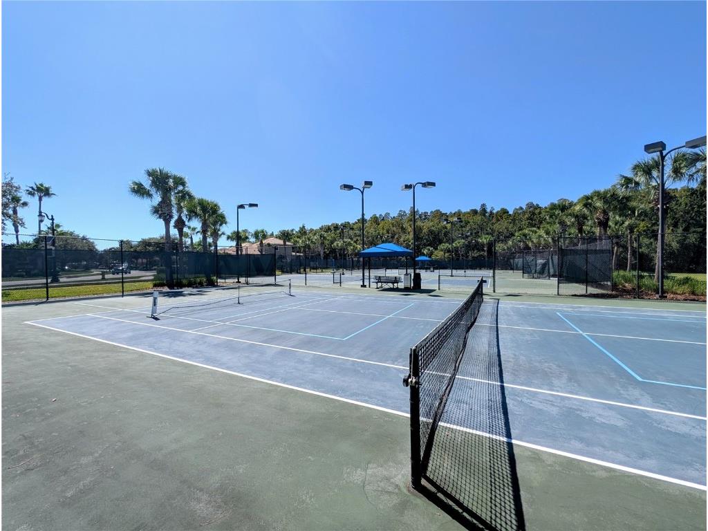 20119 Eagles Landing Way Tampa FL 33647 TB8437574 image42