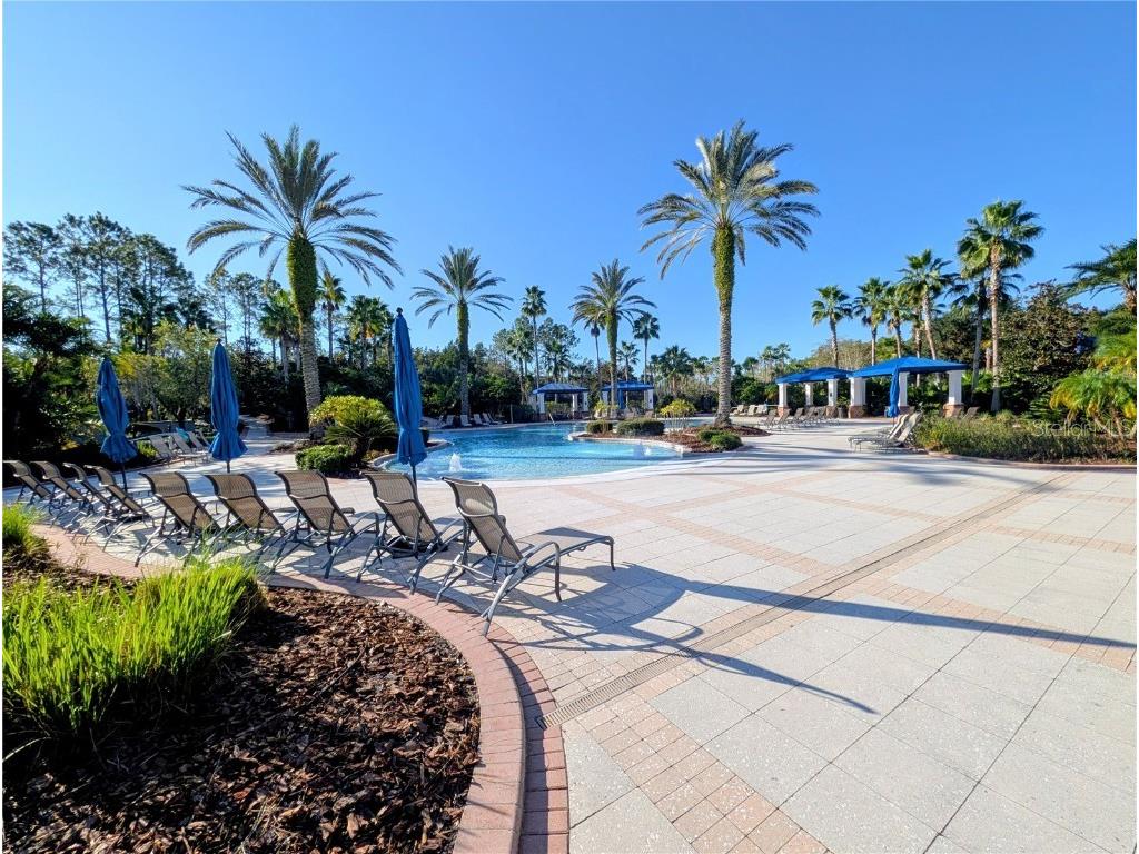 20119 Eagles Landing Way Tampa FL 33647 TB8437574 image47