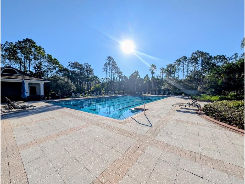 20119 Eagles Landing Way Tampa FL 33647 TB8437574 image48