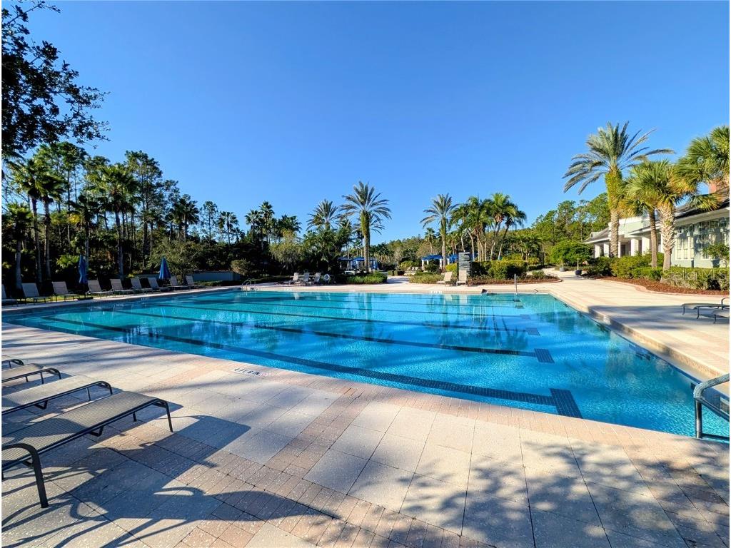 20119 Eagles Landing Way Tampa FL 33647 TB8437574 image49