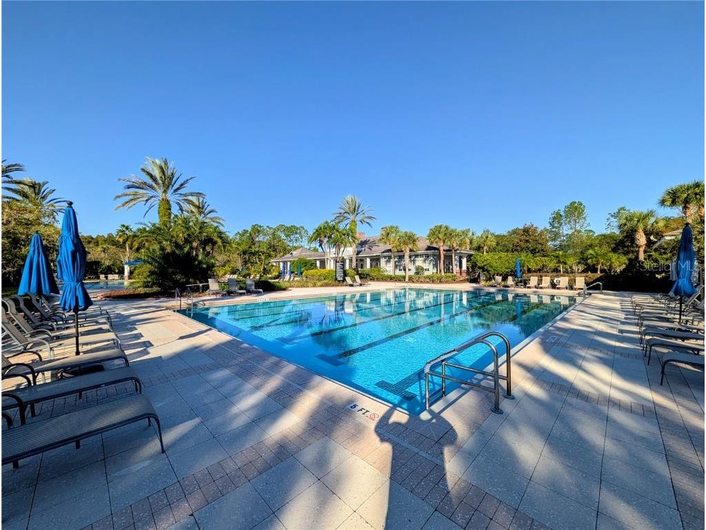 20119 Eagles Landing Way Tampa FL 33647 TB8437574 image50