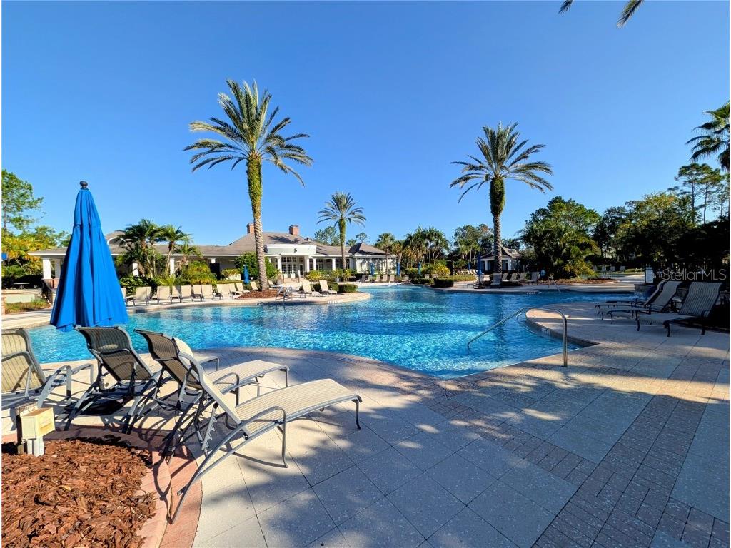 20119 Eagles Landing Way Tampa FL 33647 TB8437574 image53