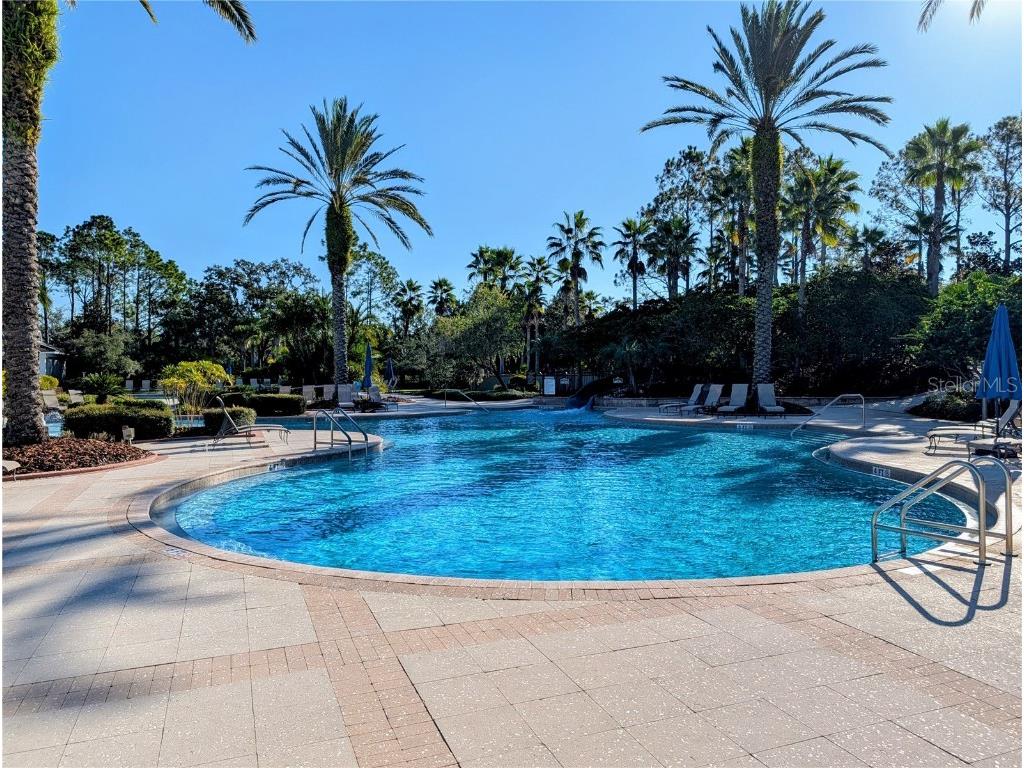 20119 Eagles Landing Way Tampa FL 33647 TB8437574 image54