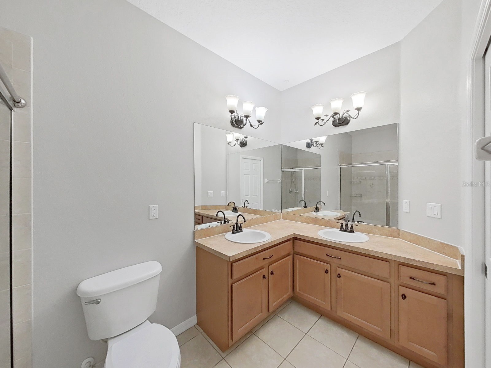 20119 Weeping Laurel Place Tampa FL 33647 TB8483596 image22