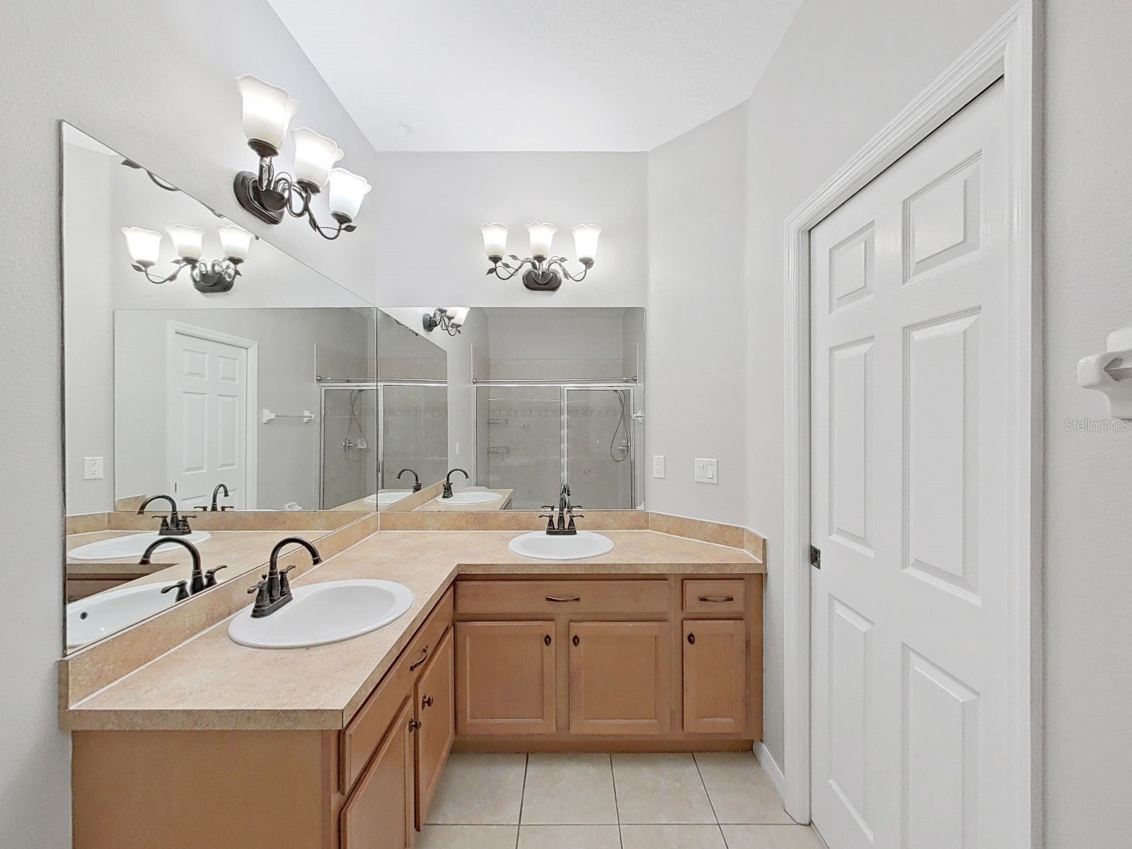 20119 Weeping Laurel Place Tampa FL 33647 TB8483596 image23