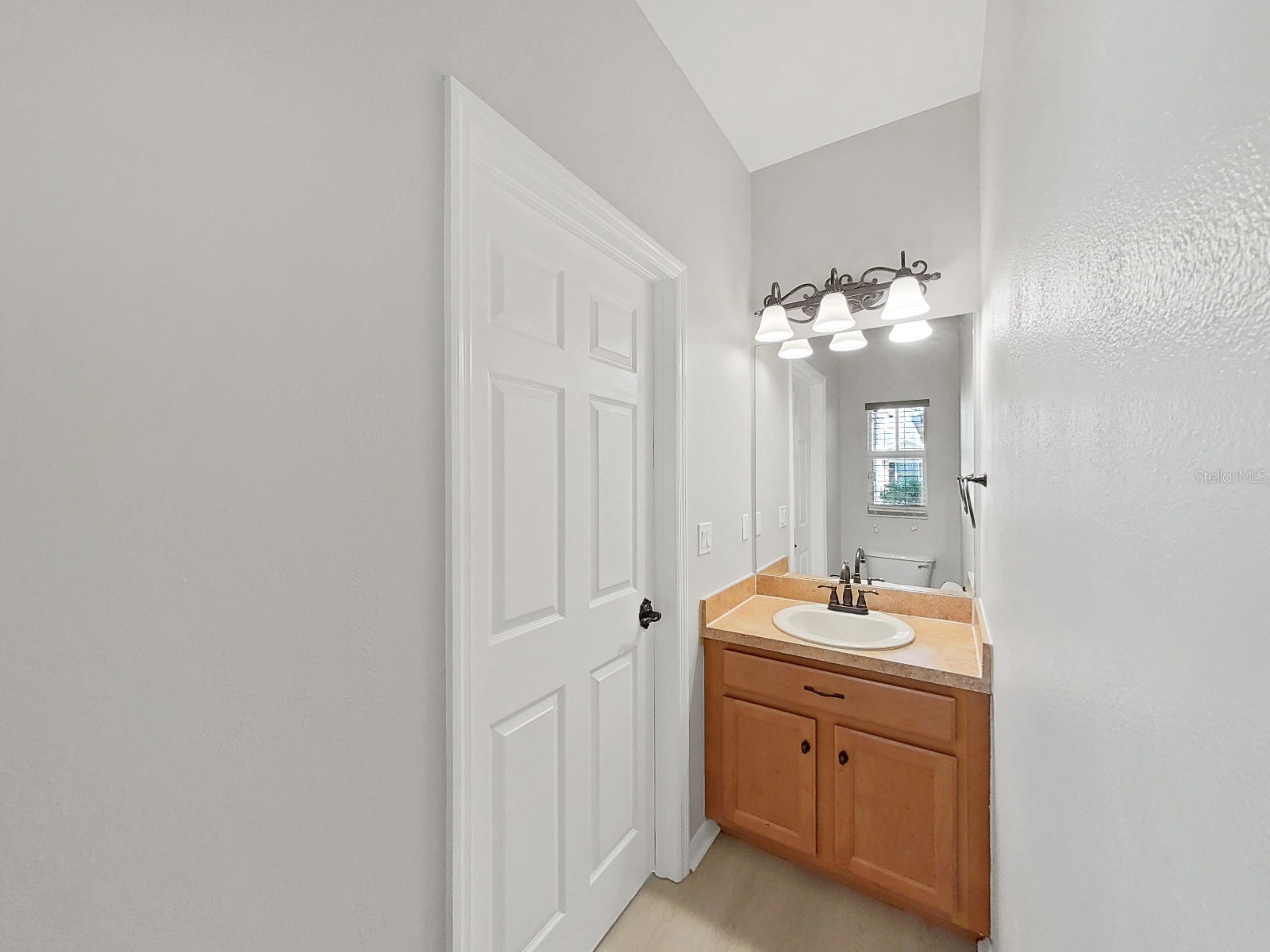 20119 Weeping Laurel Place Tampa FL 33647 TB8483596 image28