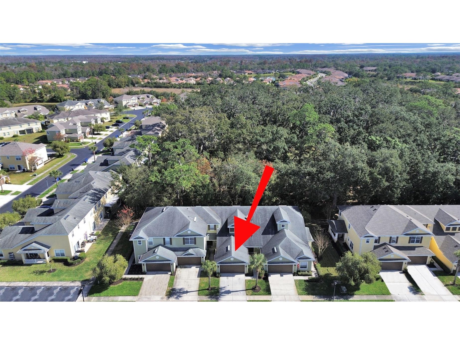 20119 Weeping Laurel Place Tampa FL 33647 TB8483596 image3