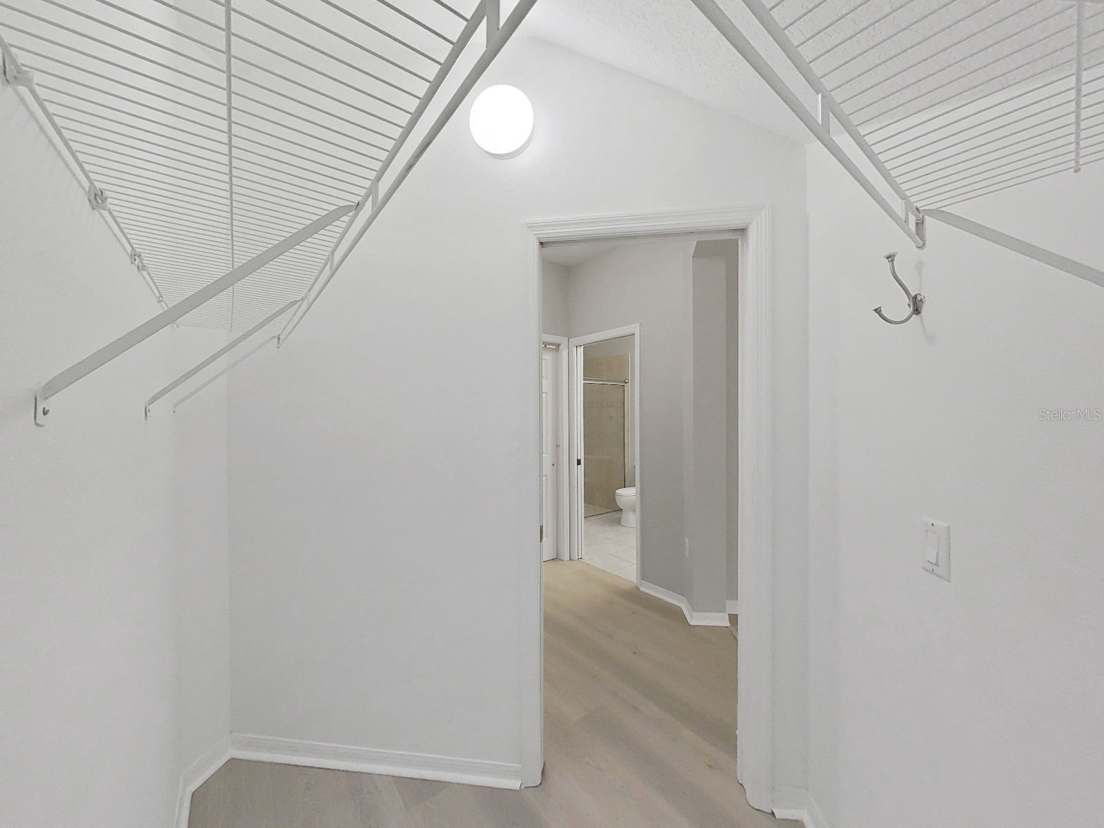 20119 Weeping Laurel Place Tampa FL 33647 TB8483596 image44