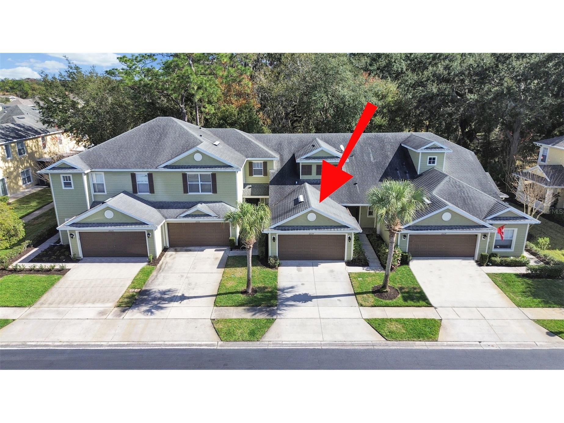 20119 Weeping Laurel Place Tampa FL 33647 TB8483596 image45