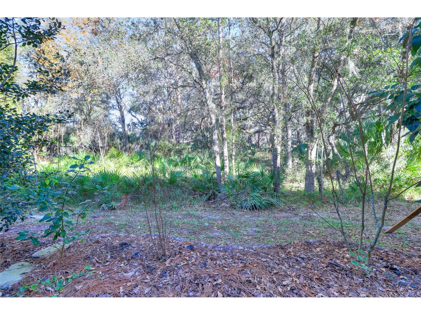 20119 Weeping Laurel Place Tampa FL 33647 TB8483596 image47