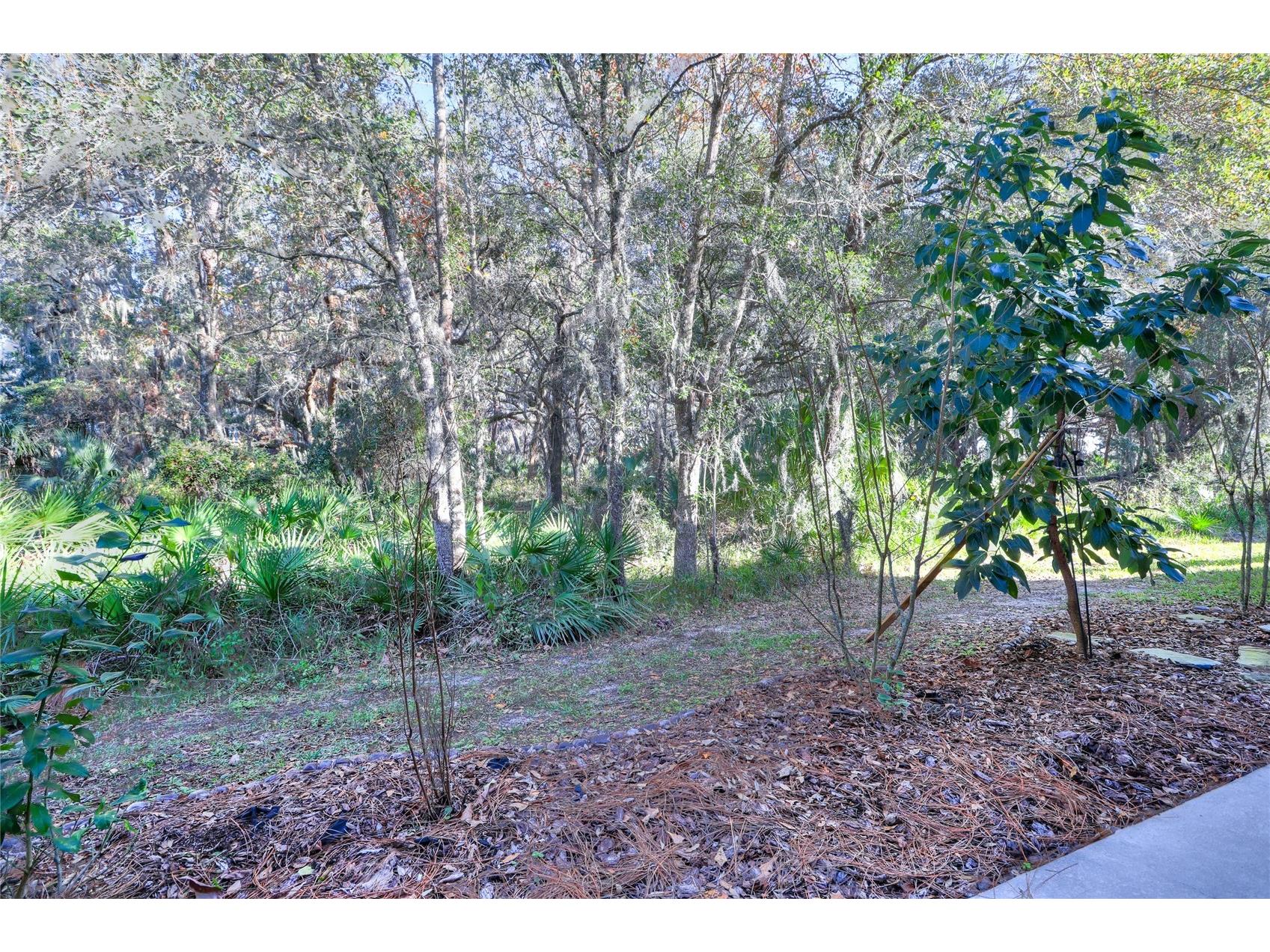 20119 Weeping Laurel Place Tampa FL 33647 TB8483596 image48