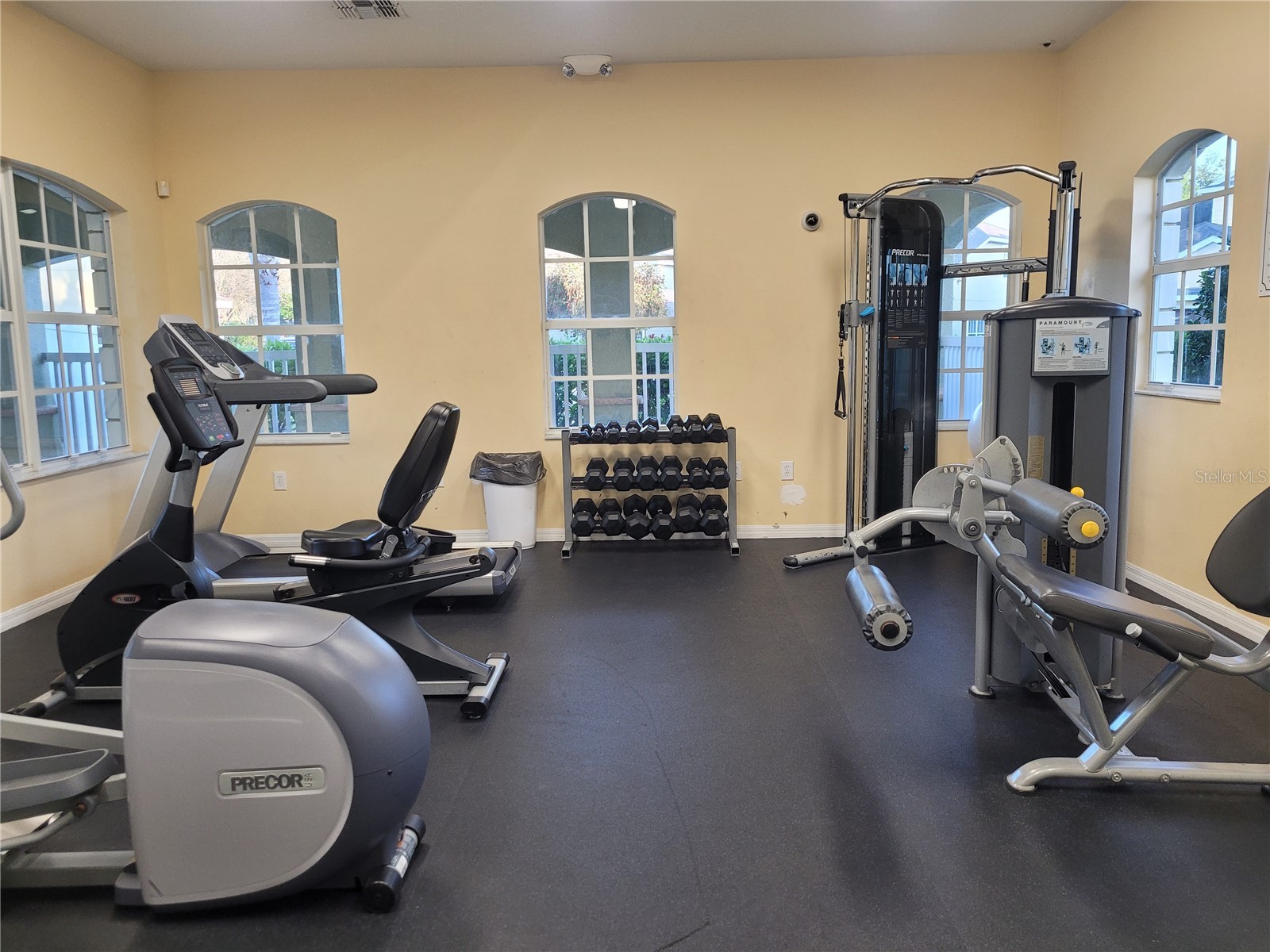 20119 Weeping Laurel Place Tampa FL 33647 TB8483596 image50