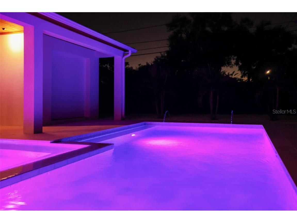 2012 Culberson Avenue Dunedin FL 34698 TB8440588 image79