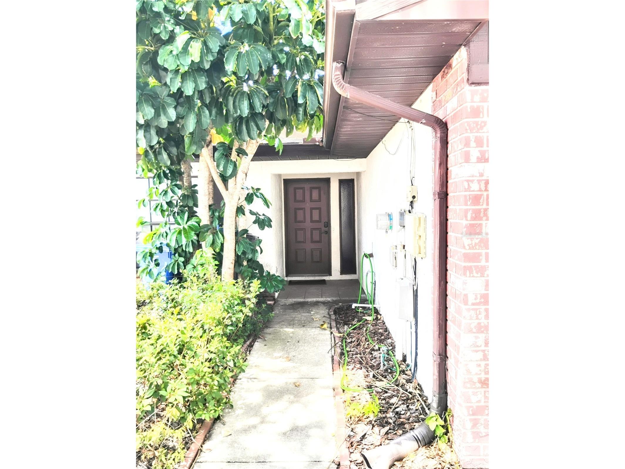 2012 Dover Court Oldsmar FL 34677 TB8504635 image2