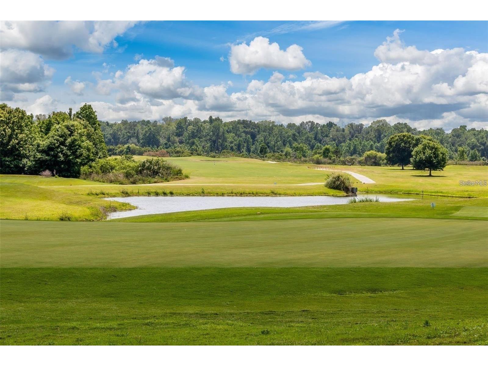 2012 Greenbriar Terrace Davenport FL 33837 O6335792 image62