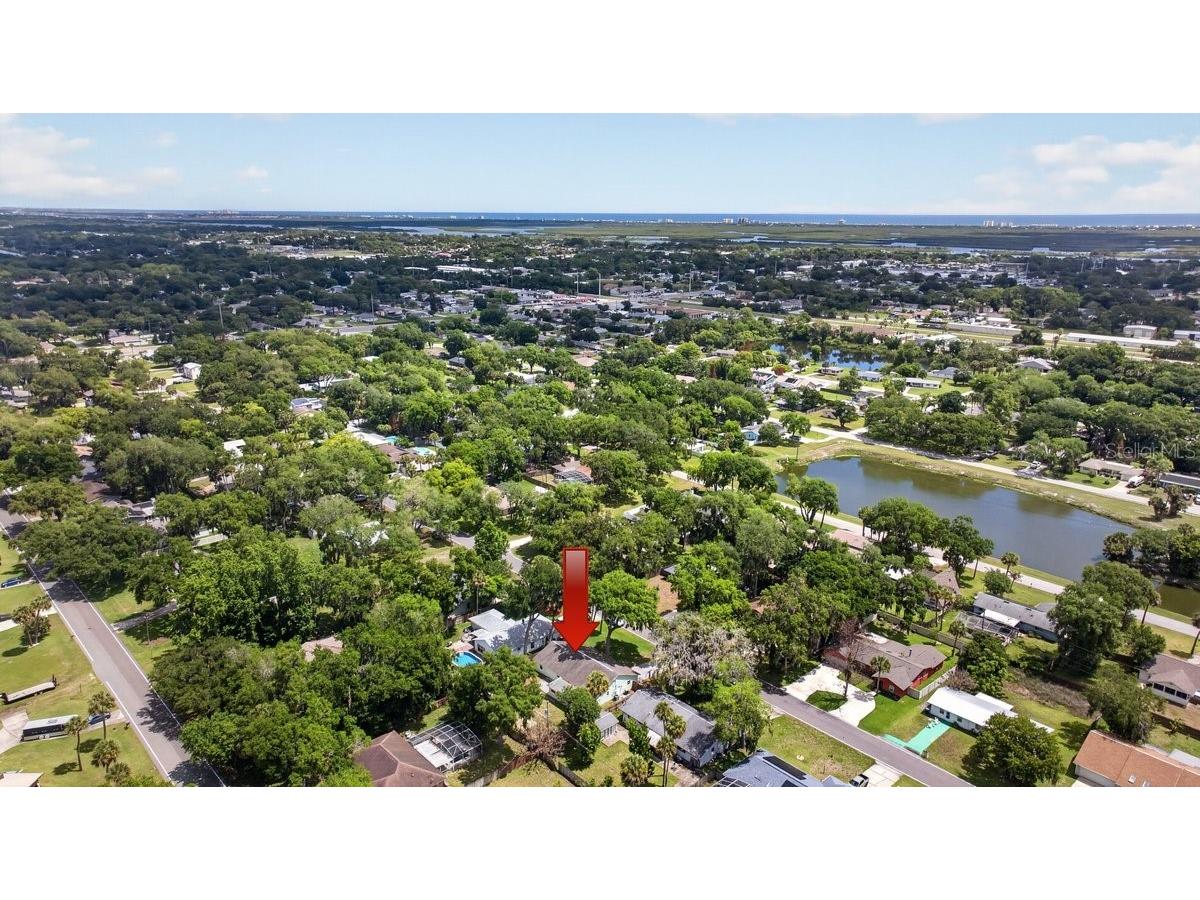 2012 Mango Tree Drive Edgewater FL 32141 NS1088220 image32