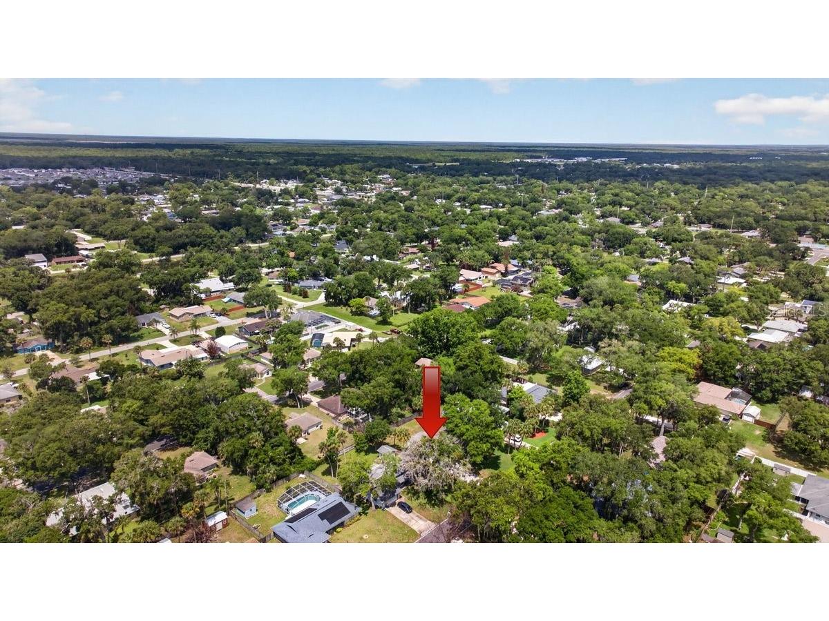 2012 Mango Tree Drive Edgewater FL 32141 NS1088220 image33