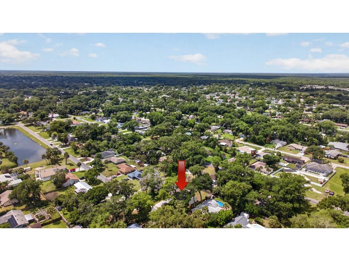 2012 Mango Tree Drive Edgewater FL 32141 NS1088220 image34