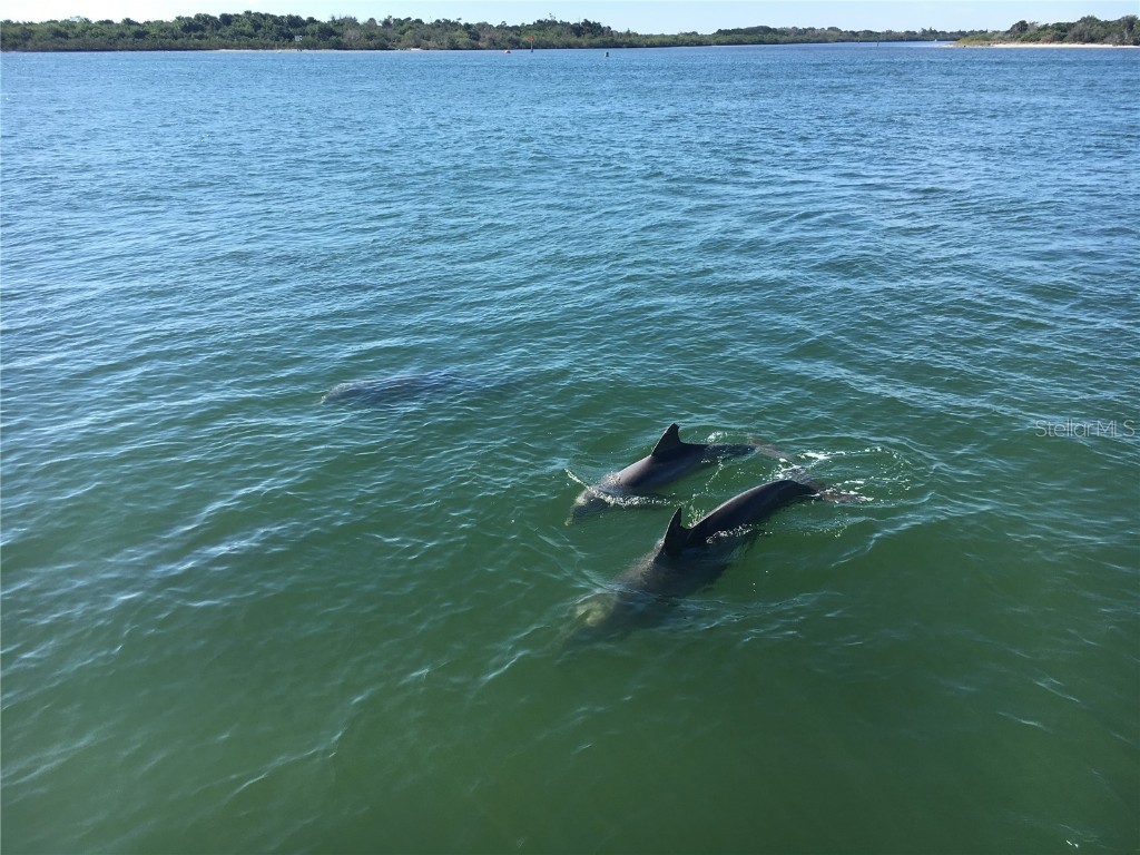 2012 Spyglass Lane New Smyrna Beach FL 32169 - INTRACOASTAL / INDIAN RIVER O6336001 image37