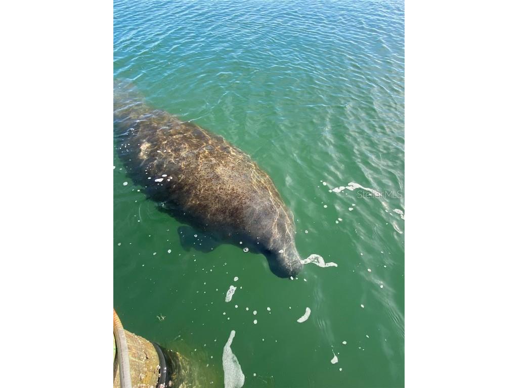 2012 Spyglass Lane New Smyrna Beach FL 32169 - INTRACOASTAL / INDIAN RIVER O6336001 image38