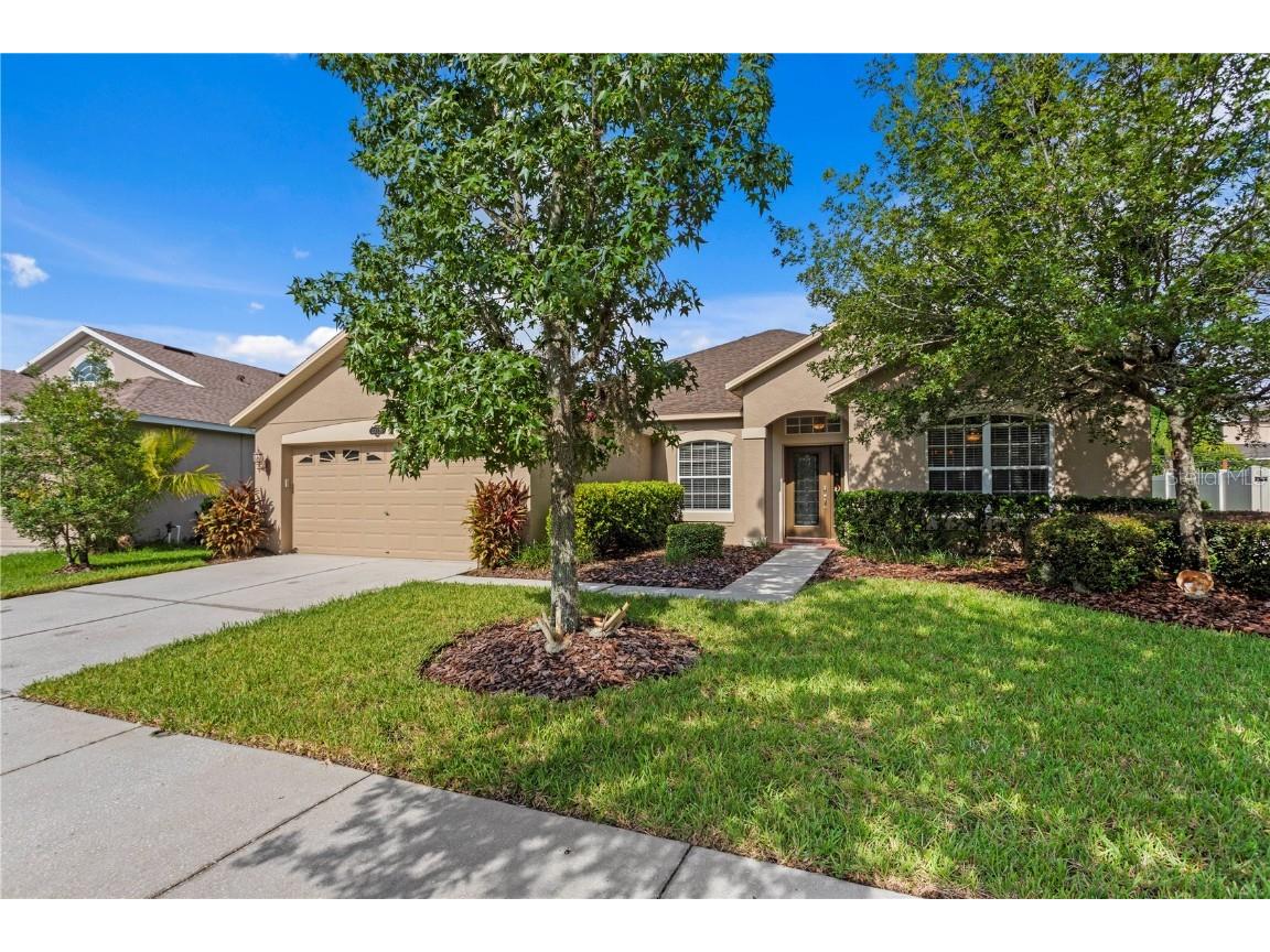 20120 Natures Hike Way Tampa FL 33647 TB8404548 image3