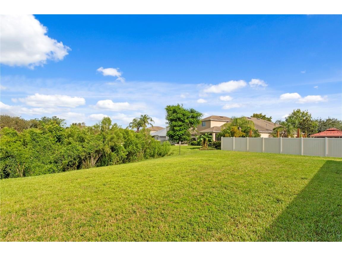 20120 Natures Hike Way Tampa FL 33647 TB8404548 image34