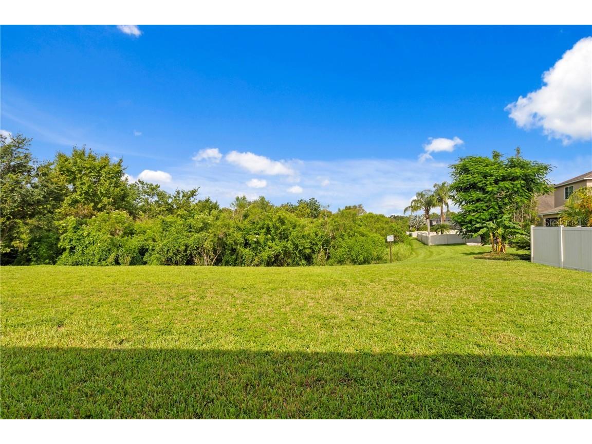 20120 Natures Hike Way Tampa FL 33647 TB8404548 image36