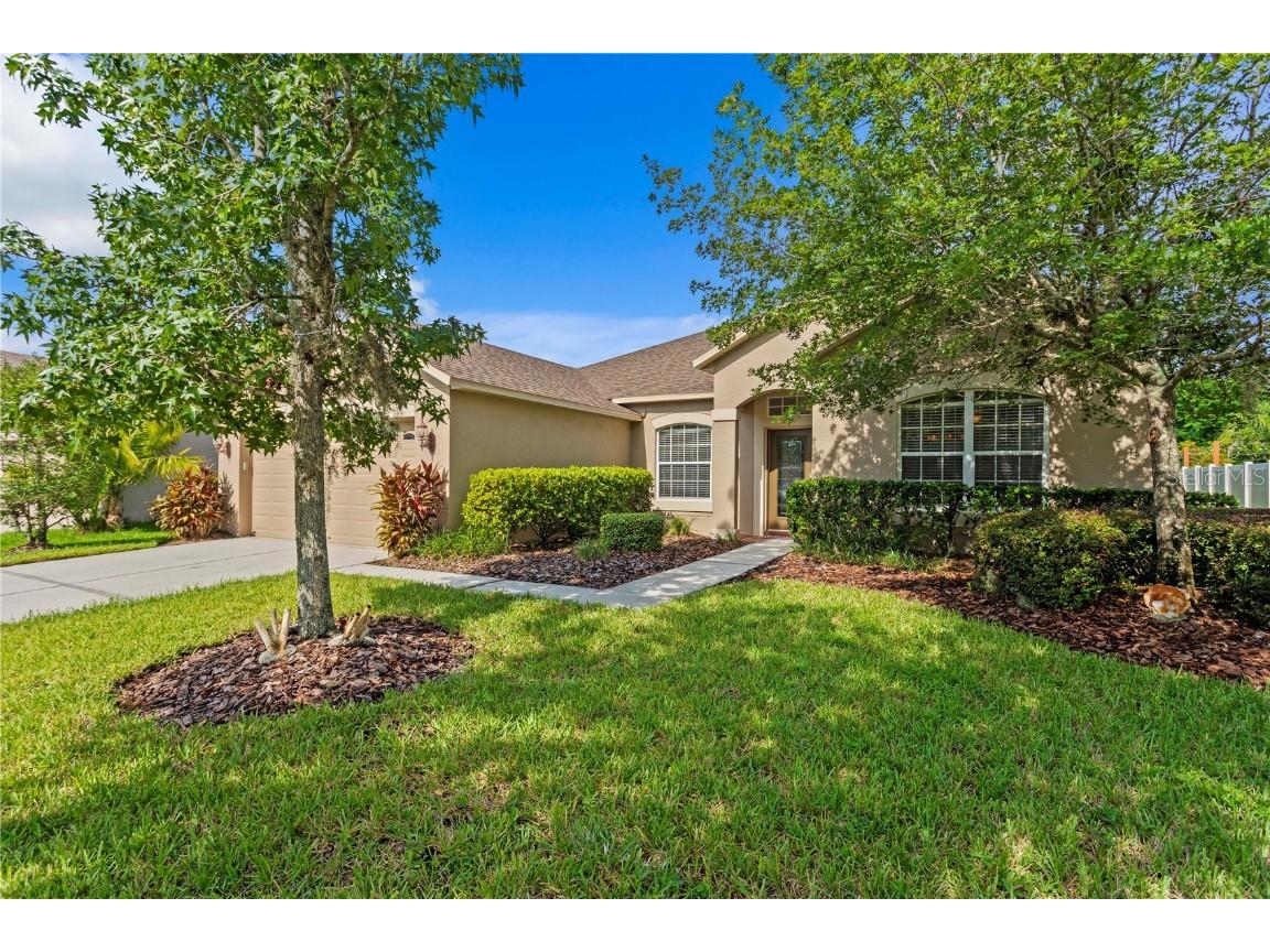 20120 Natures Hike Way Tampa FL 33647 TB8404548 image4