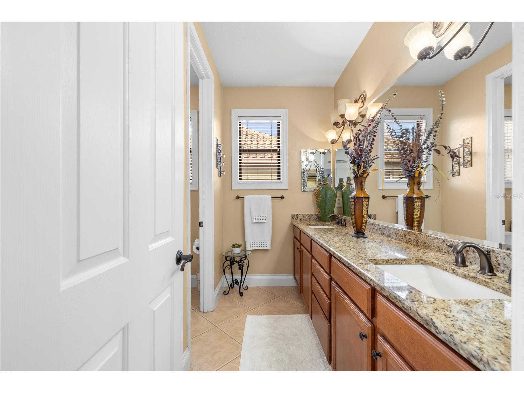 20120 Shady Hill Lane Tampa FL 33647 TB8484599 image25