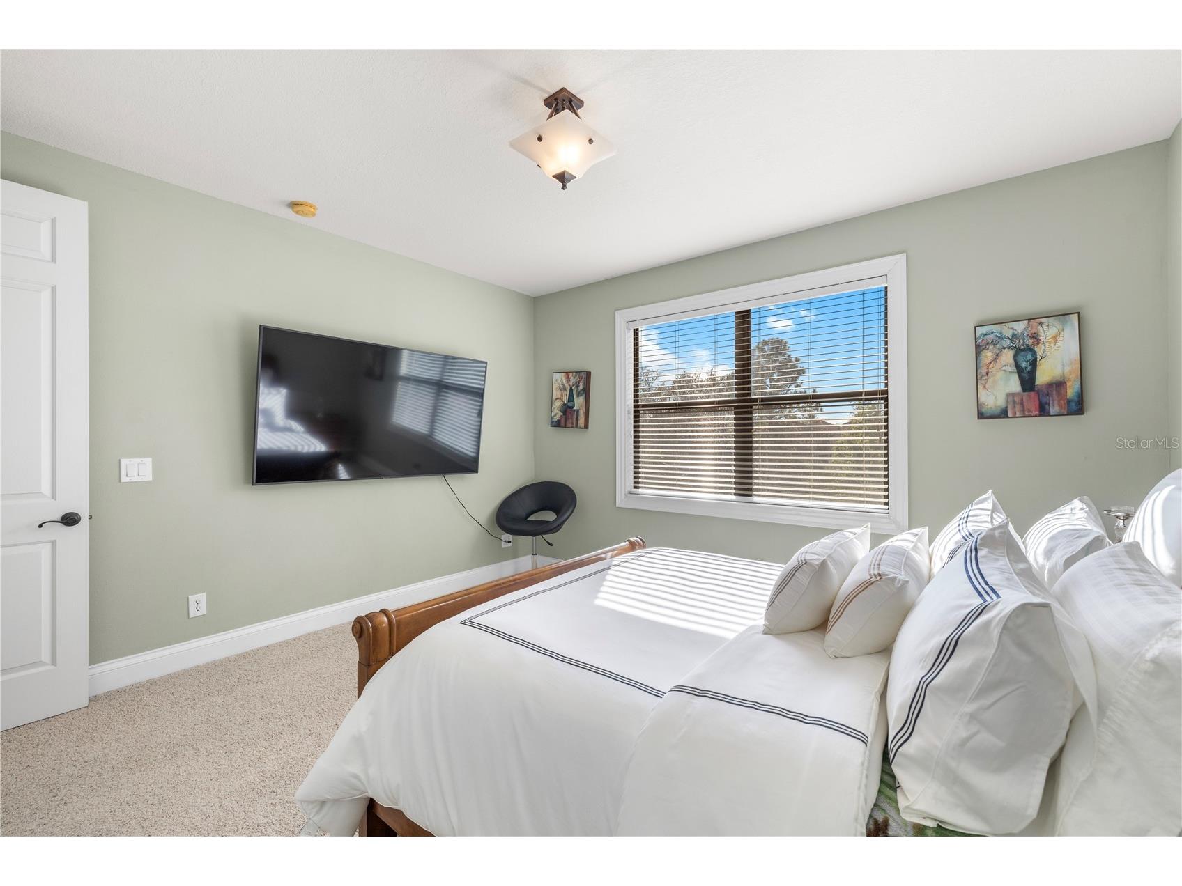 20120 Shady Hill Lane Tampa FL 33647 TB8484599 image38