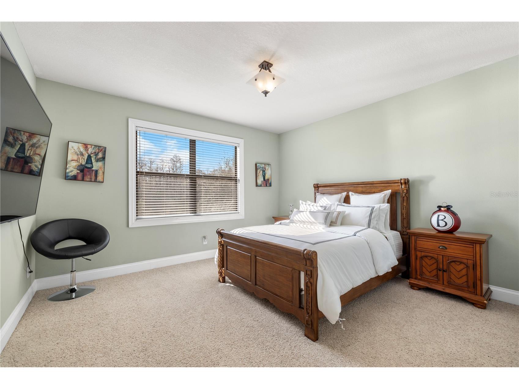 20120 Shady Hill Lane Tampa FL 33647 TB8484599 image39