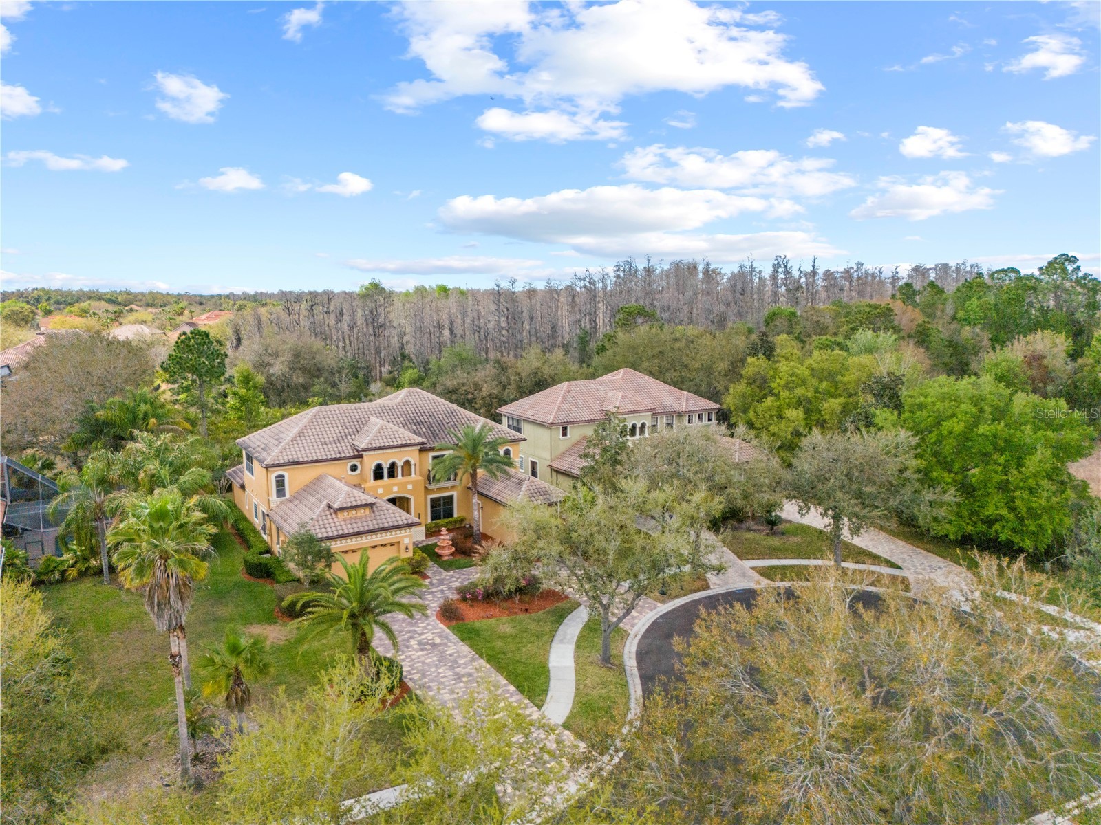 20120 Shady Hill Lane Tampa FL 33647 TB8484599 image83