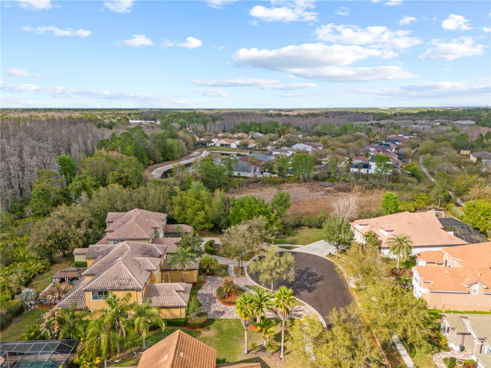 20120 Shady Hill Lane Tampa FL 33647 TB8484599 image84