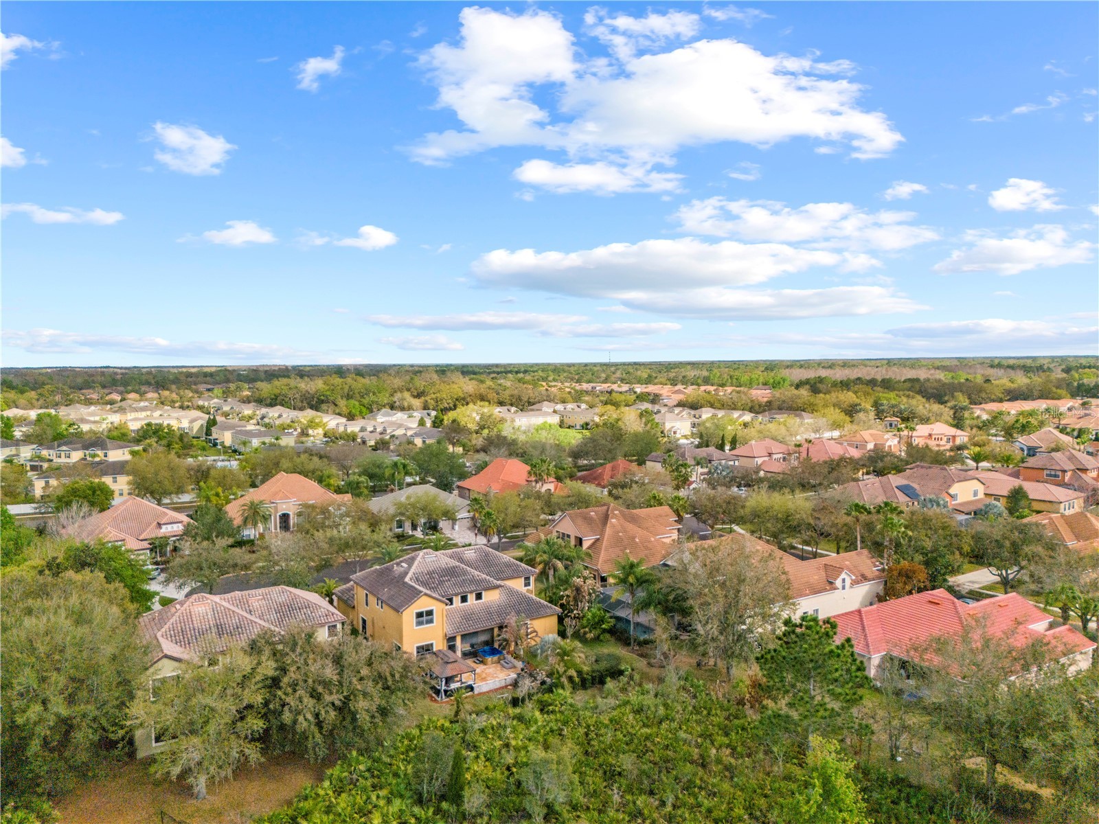 20120 Shady Hill Lane Tampa FL 33647 TB8484599 image88