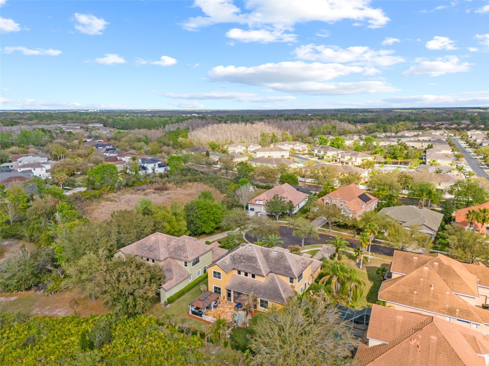 20120 Shady Hill Lane Tampa FL 33647 TB8484599 image90