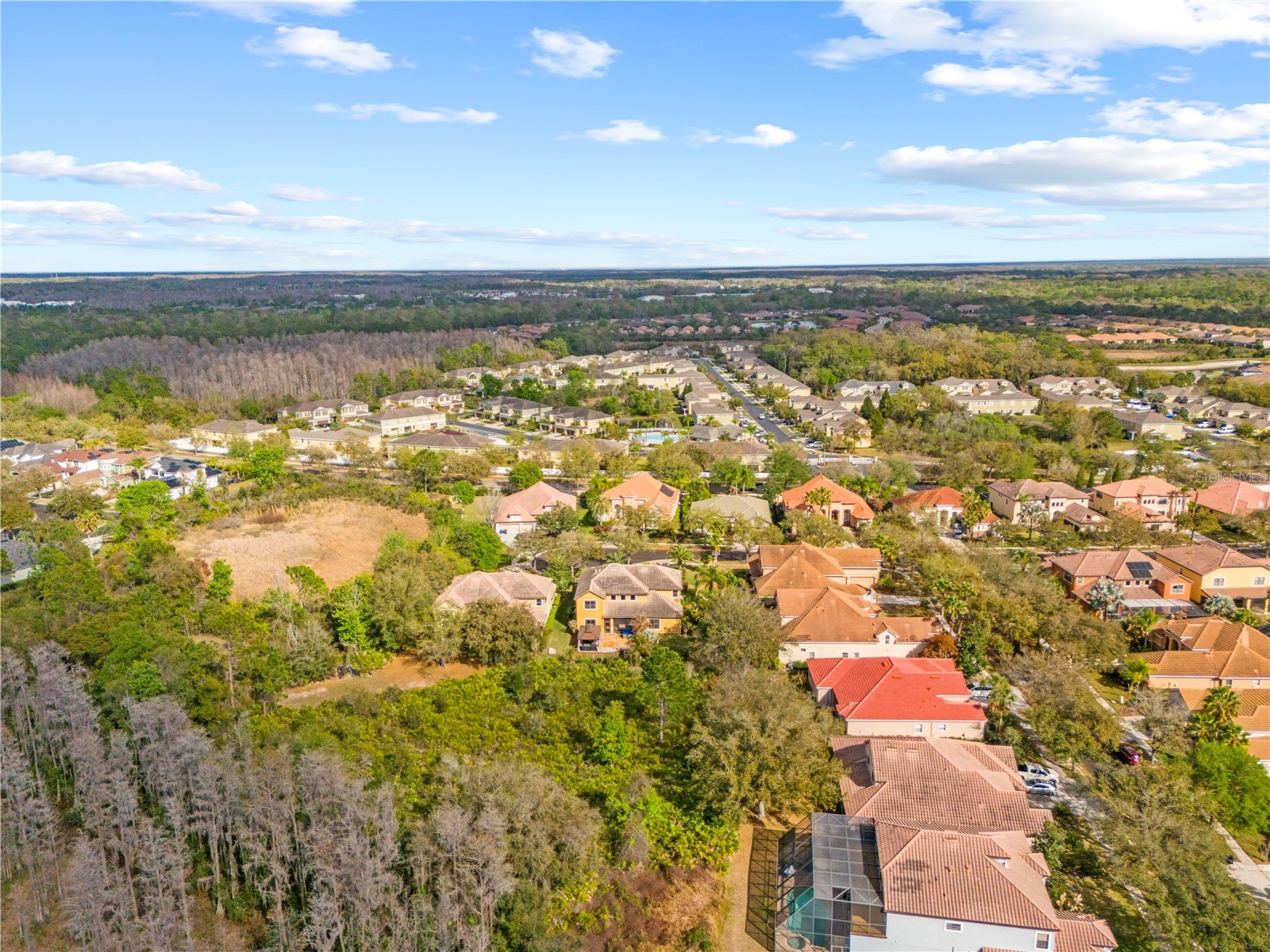 20120 Shady Hill Lane Tampa FL 33647 TB8484599 image91