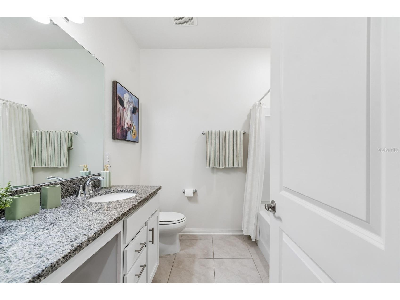 20121 Azul Marble Loop Land O Lakes FL 34638 TB8492775 image12