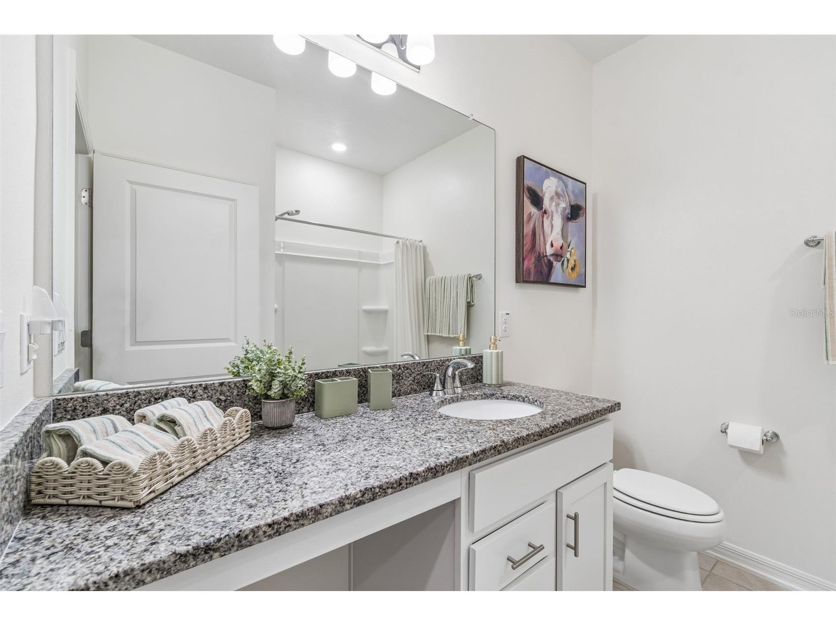 20121 Azul Marble Loop Land O Lakes FL 34638 TB8492775 image13