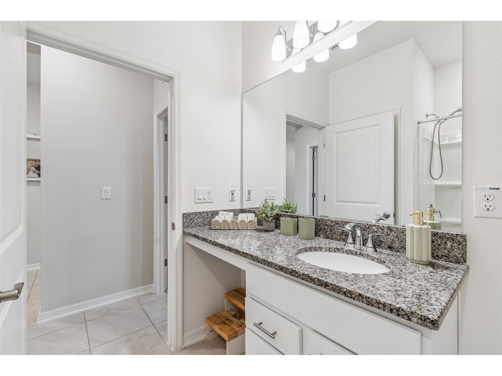 20121 Azul Marble Loop Land O Lakes FL 34638 TB8492775 image14