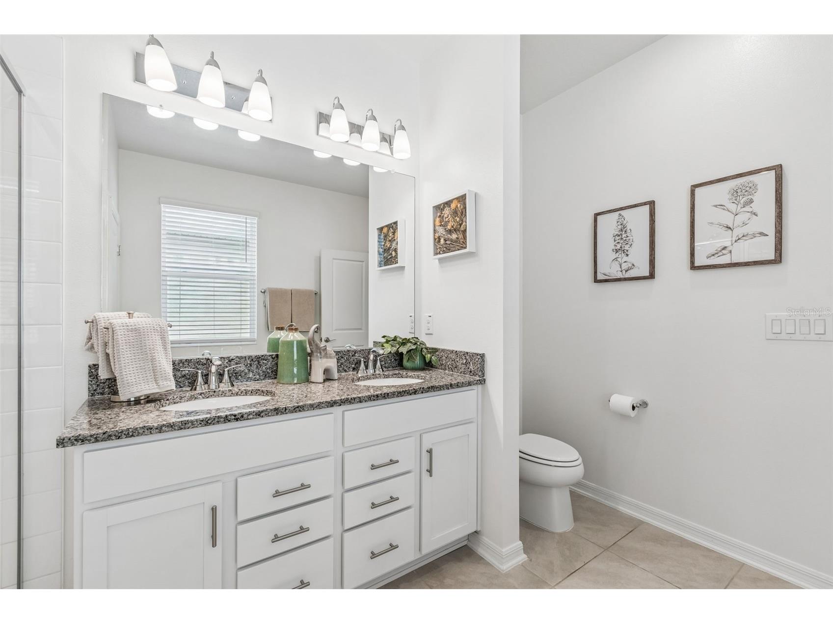 20121 Azul Marble Loop Land O Lakes FL 34638 TB8492775 image45