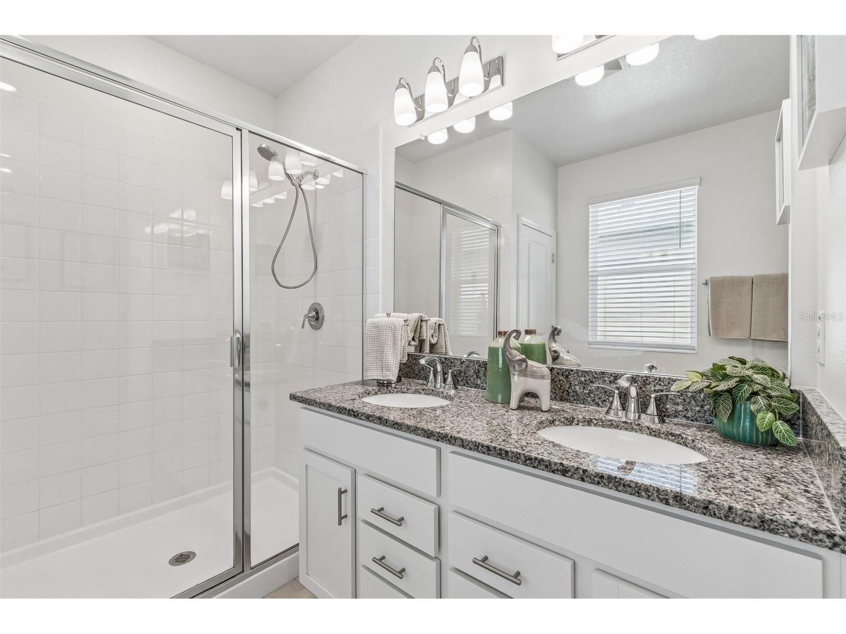 20121 Azul Marble Loop Land O Lakes FL 34638 TB8492775 image46