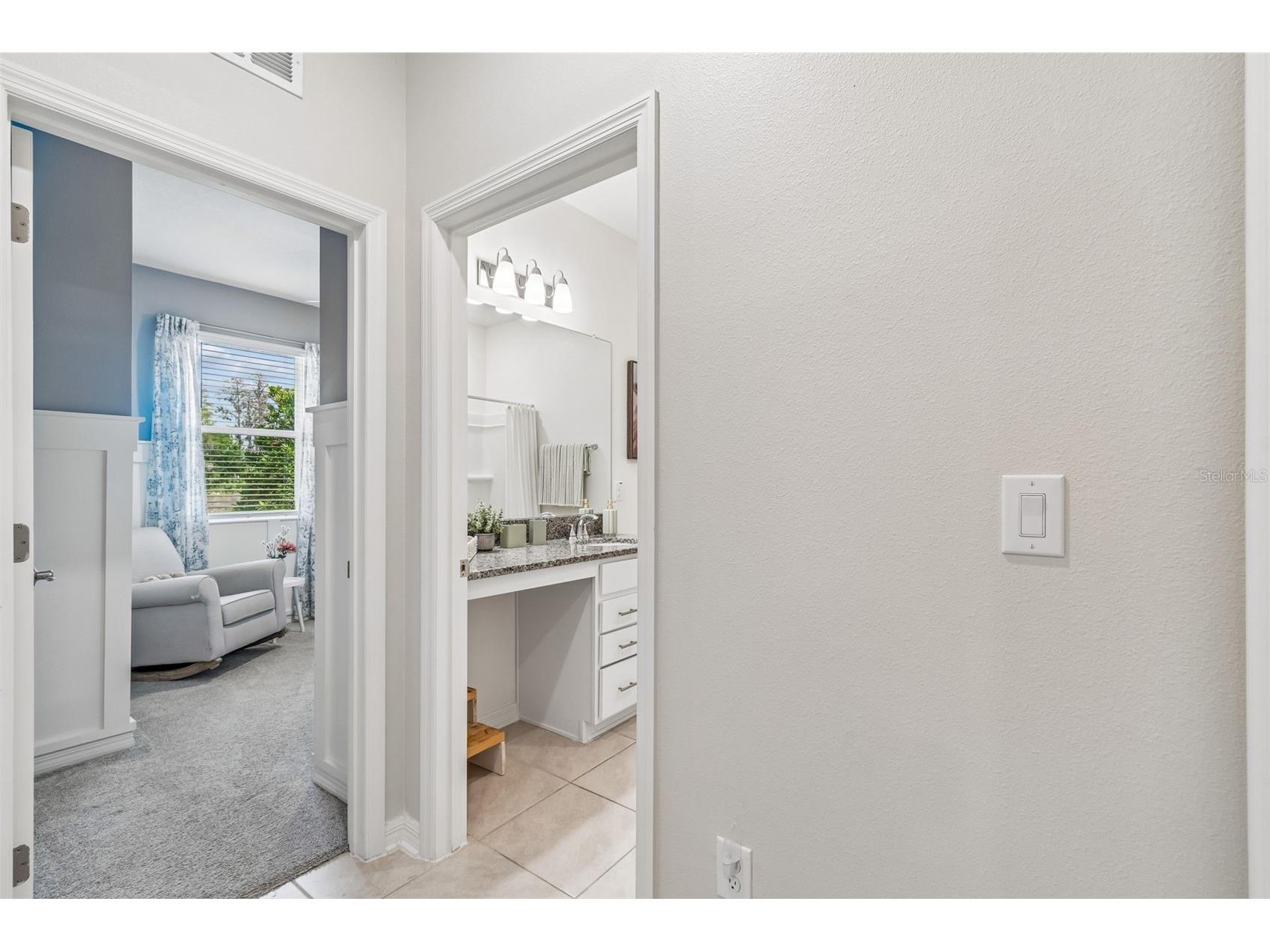 20121 Azul Marble Loop Land O Lakes FL 34638 TB8492775 image8