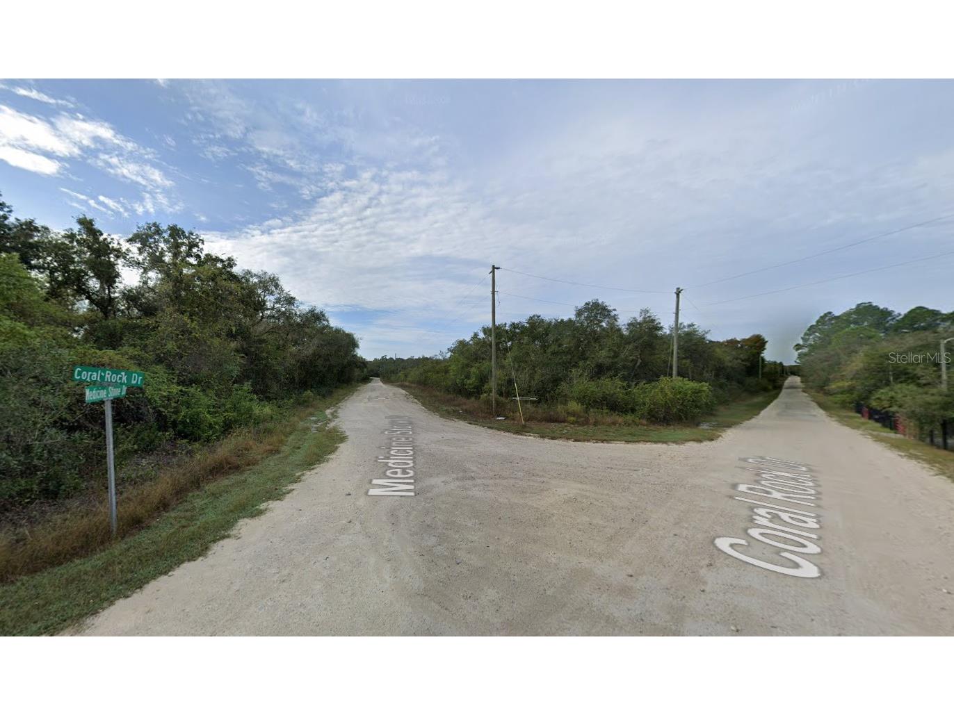 20122 Medicine Stone #10 Drive Webster FL 33597 A4692382 image4