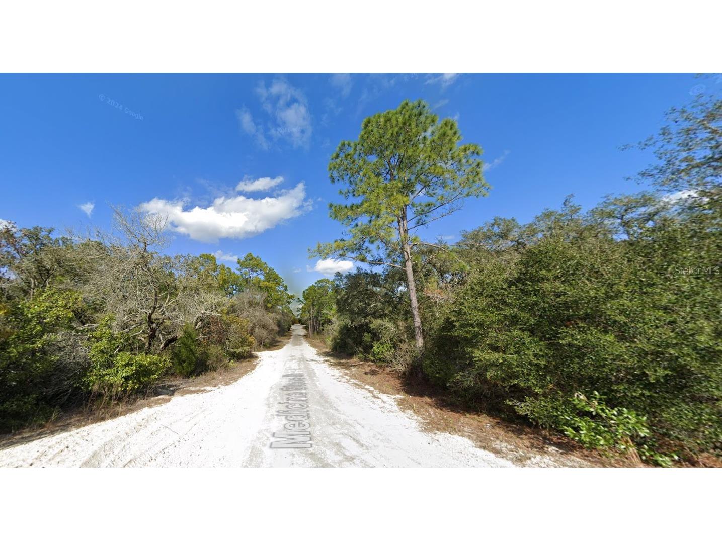 20122 Medicine Stone #10 Drive Webster FL 33597 A4692382 image5