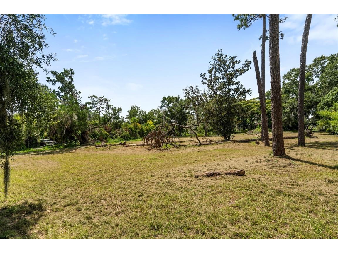 20125 Green Grass Lane Lutz FL 33558 W7879081 image44