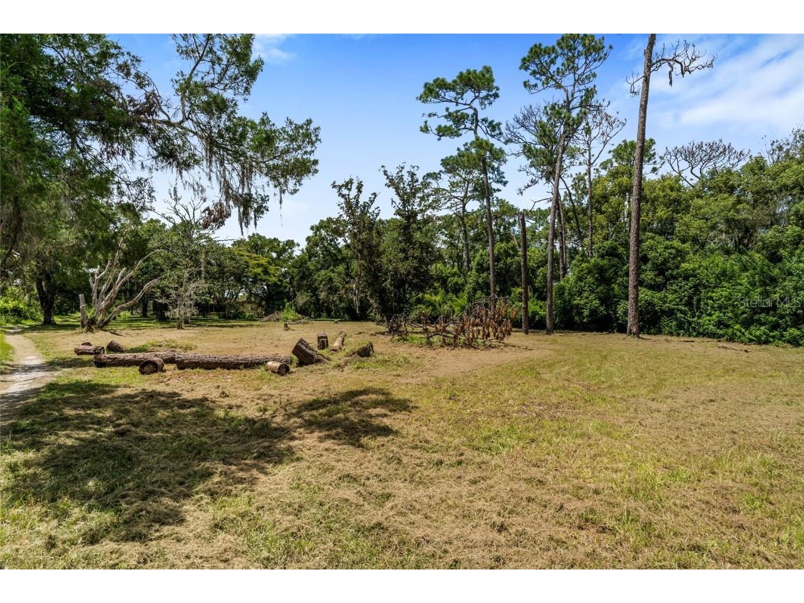 20125 Green Grass Lane Lutz FL 33558 W7879081 image45